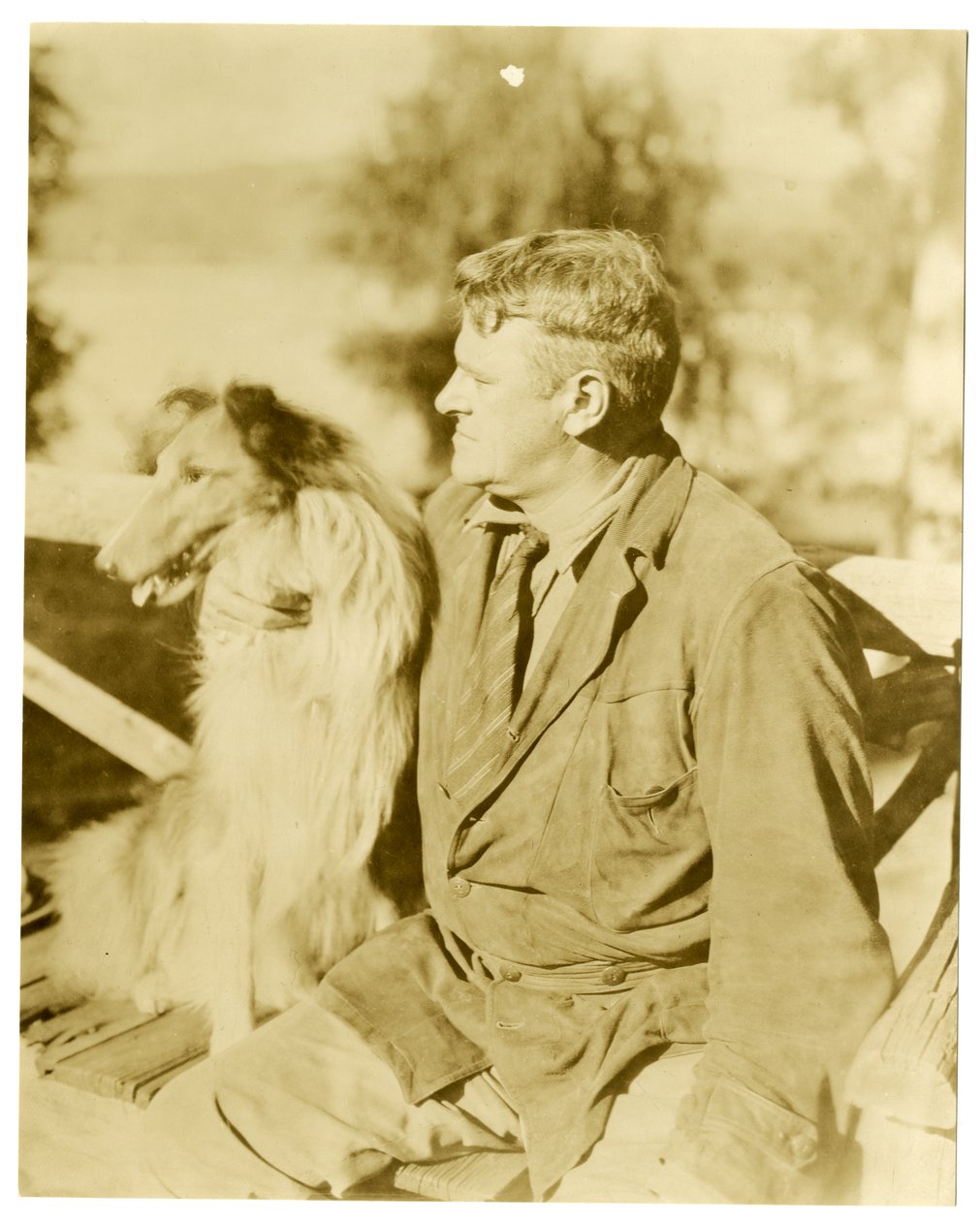 Albert Payson Terhune, yazar, c.1916-28 (jelatin gümüşü fotoğraf) by Jessie Tarbox Beals
