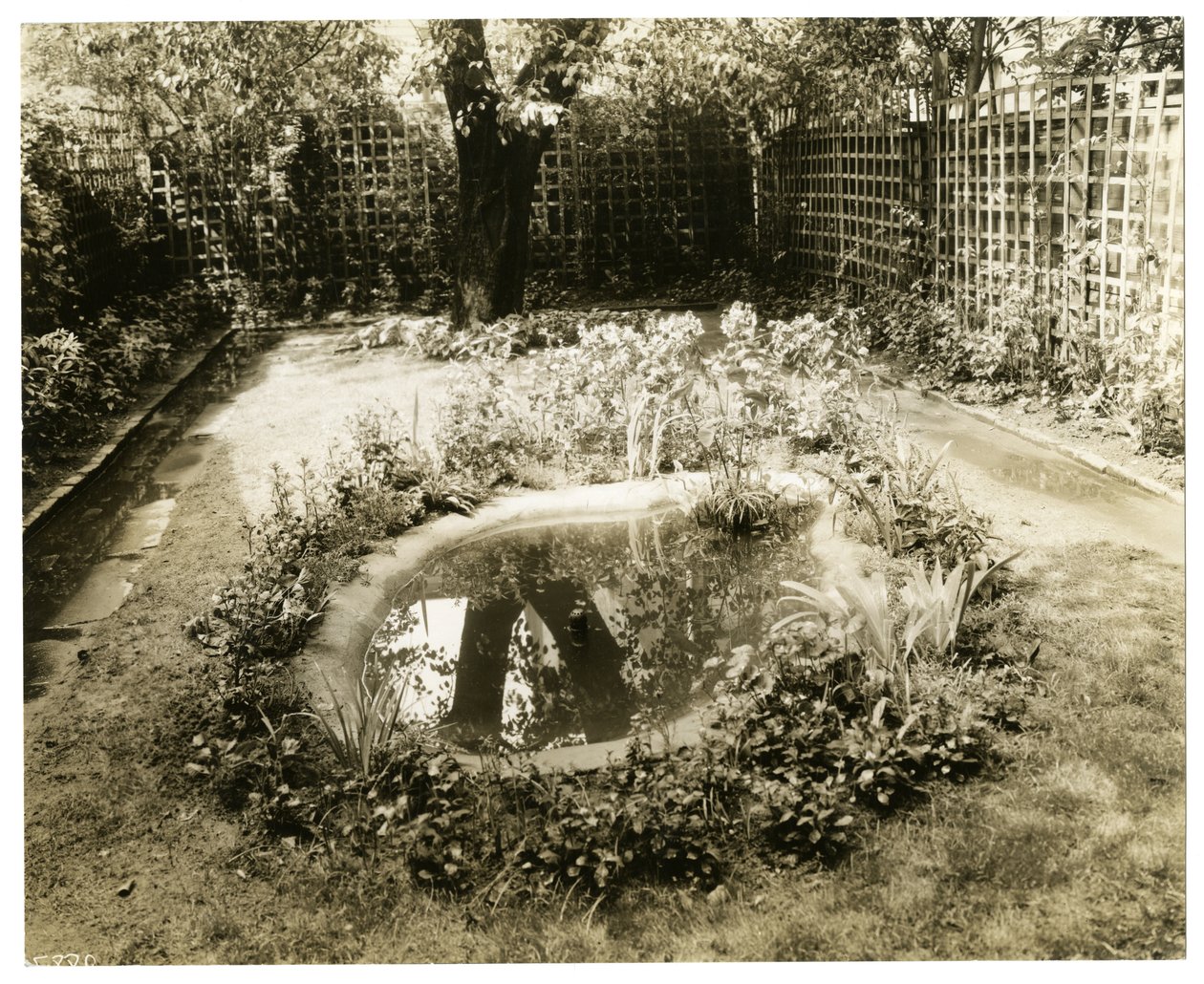 Garden of Mrs WH Wells 265 W 11th, Greenwich Village, New York, ABD, c.1936-37 (jelatin gümüşü fotoğraf) by Jessie Tarbox Beals
