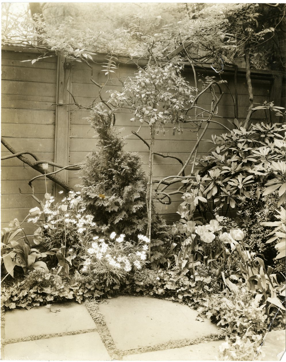 Mr & Mrs John Morgan, 39 W 11 St, Greenwich Village, New York, USA, c.1939-40 (gelatin silver photo) by Jessie Tarbox Beals