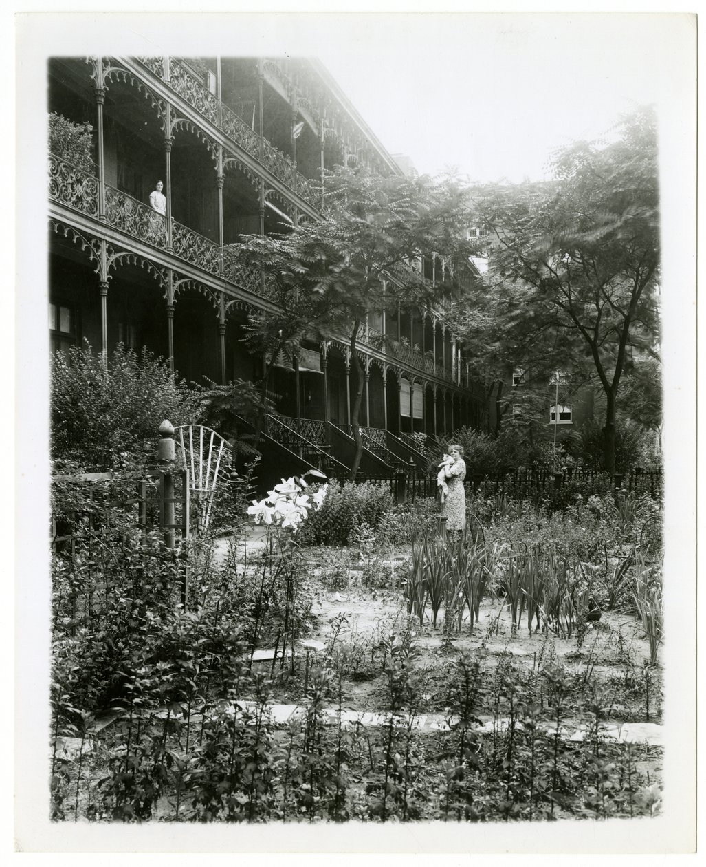 Rhinelander House bahçeleri, W 11th St , Greenwich Village, New York, ABD, c.1905-38 (jelatin gümüşü fotoğraf) by Jessie Tarbox Beals