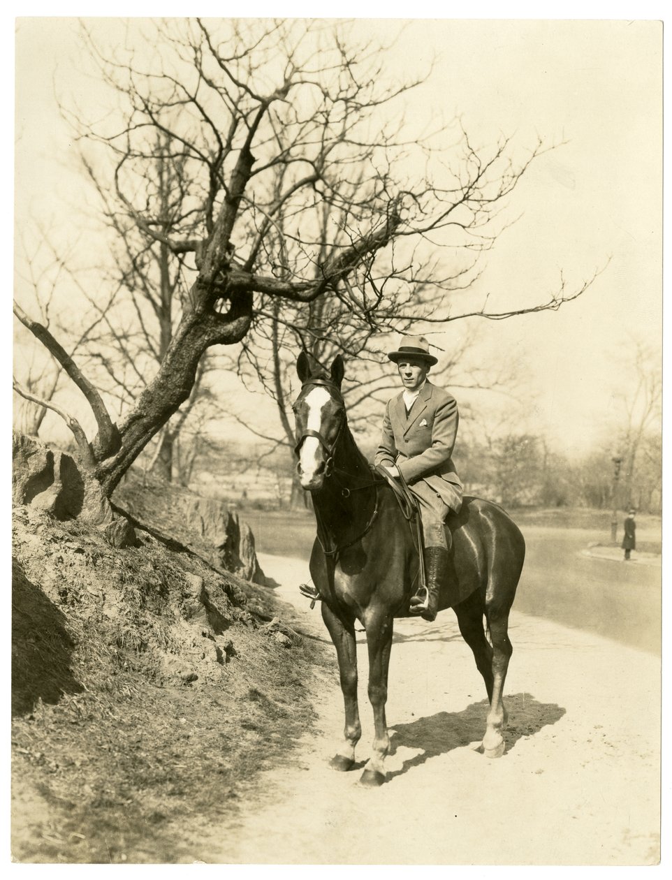 Roland Young, c.1905-27 (jelatin gümüşü fotoğraf) by Jessie Tarbox Beals