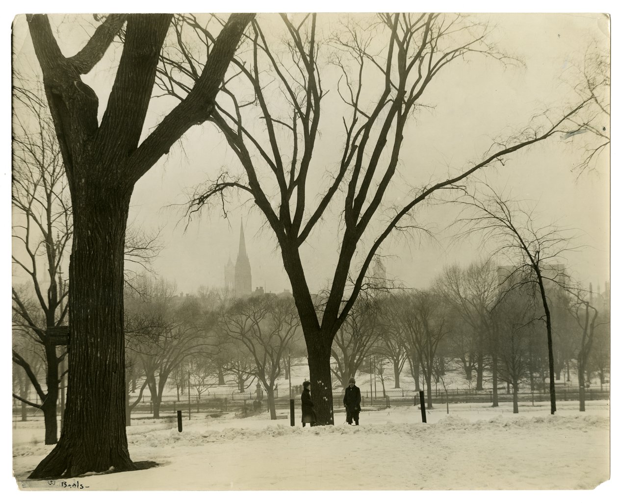 The Common, Boston, ABD, c.1902-10 (jelatin gümüşü fotoğraf) by Jessie Tarbox Beals