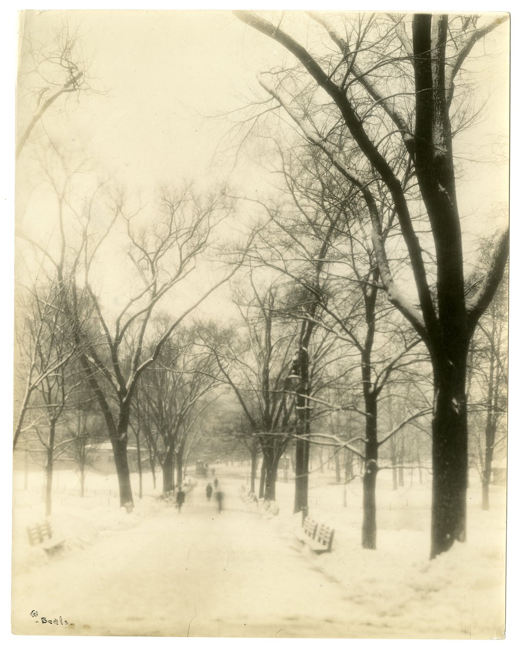 The Common, Boston, ABD, c.1902-10 (jelatin gümüşü fotoğraf) by Jessie Tarbox Beals
