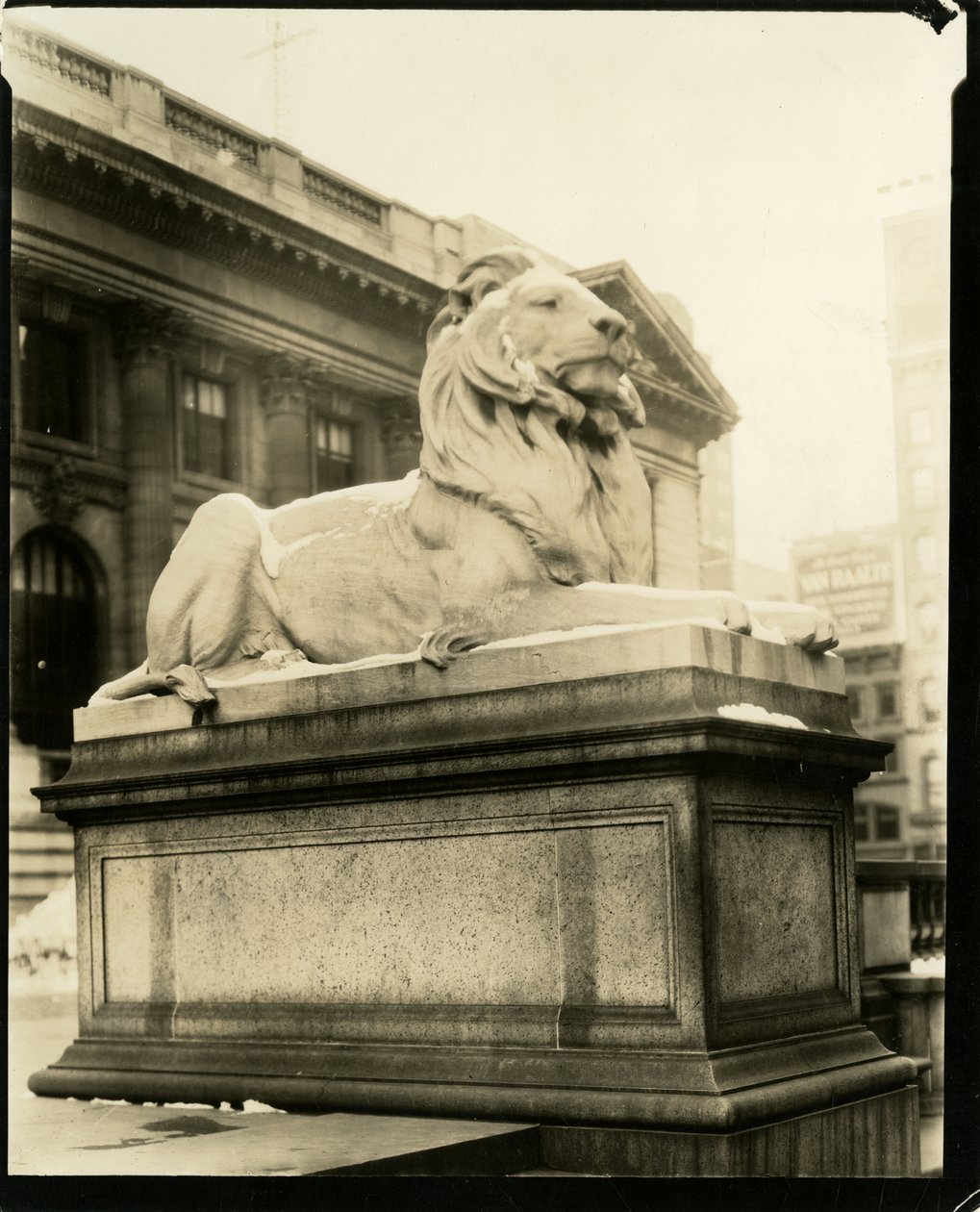 Kütüphanenin önündeki kibirli aslan Gertrude Steinish