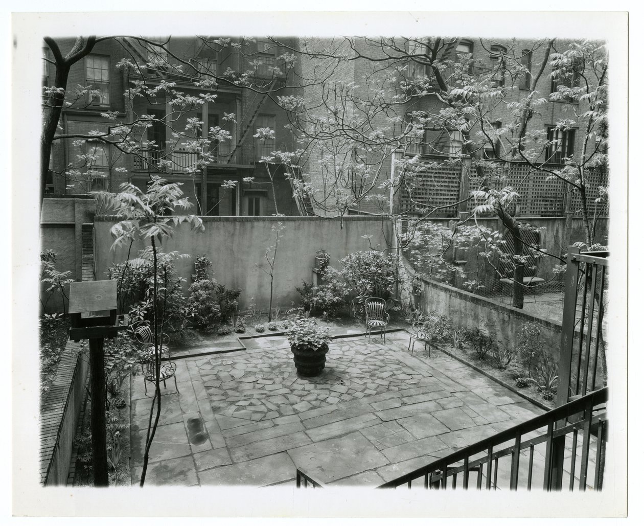 kuş evi ile arka veranda, New York, ABD, c.1905-40 (jelatin gümüşü fotoğraf) by Jessie Tarbox Beals