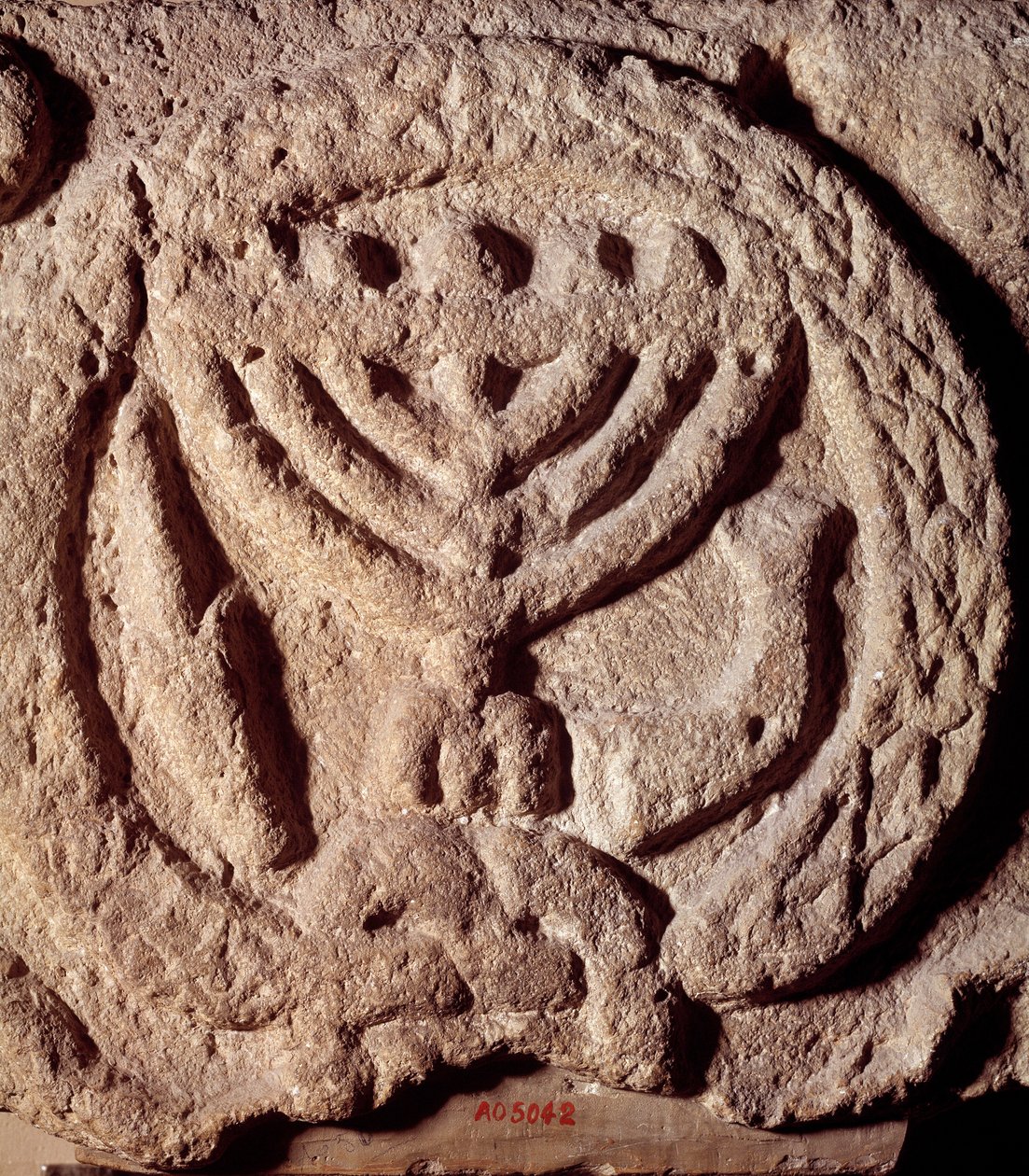 Yahudilik: yedi dallı (Menora veya Menora), palmiye ve trompetli bir şamdanla süslenmiş bir sinagogun bazaltındaki mimari unsur. Transjordan