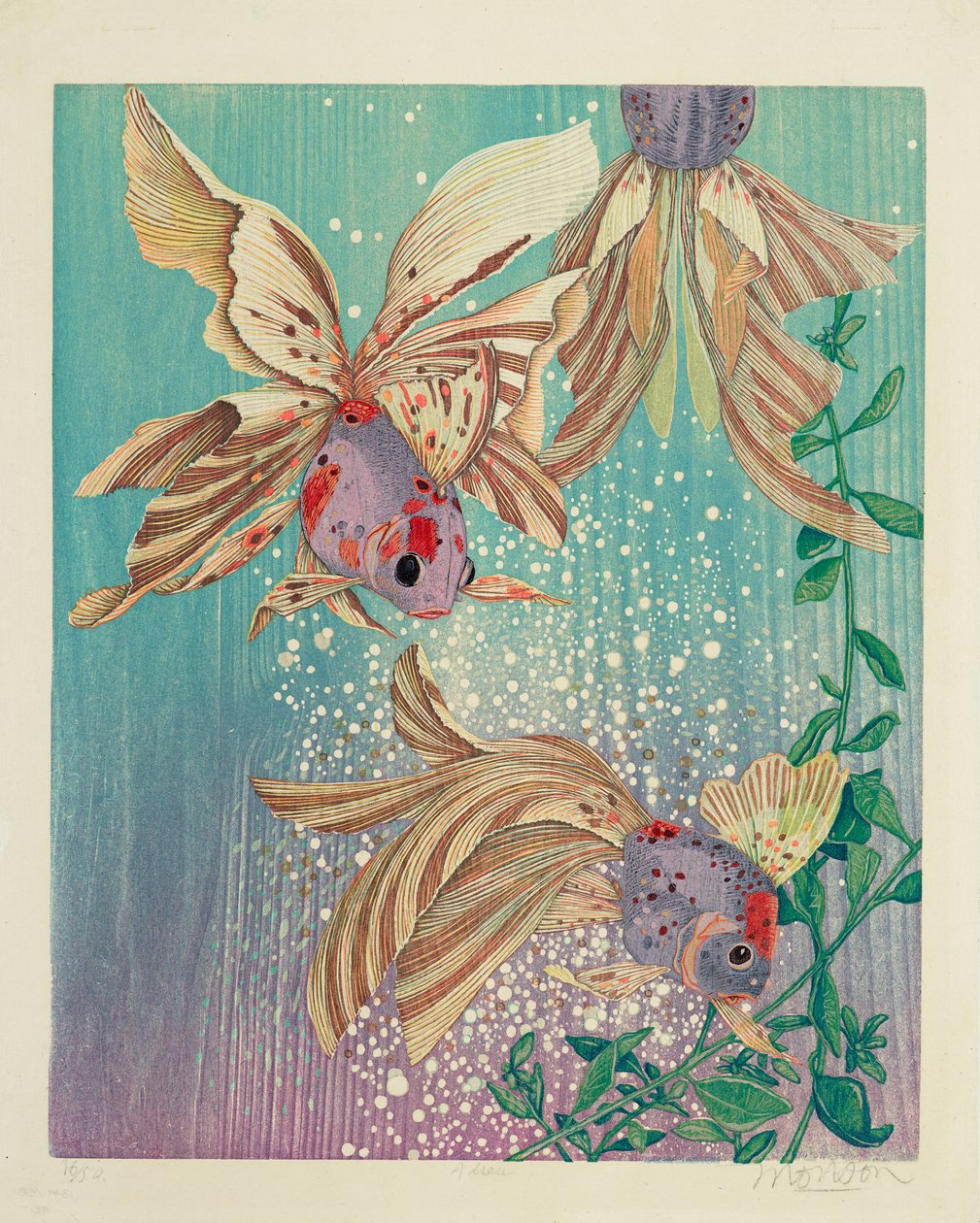 Elveda / Fantails by Jim Monson