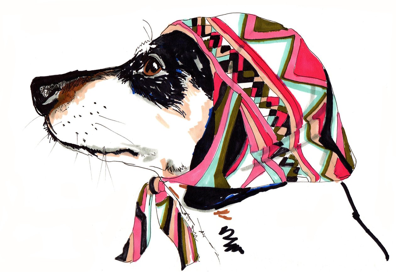 Pooch In Pucci, 2012 (kağıt üzerine kalem ve mürekkep) by Jo Chambers