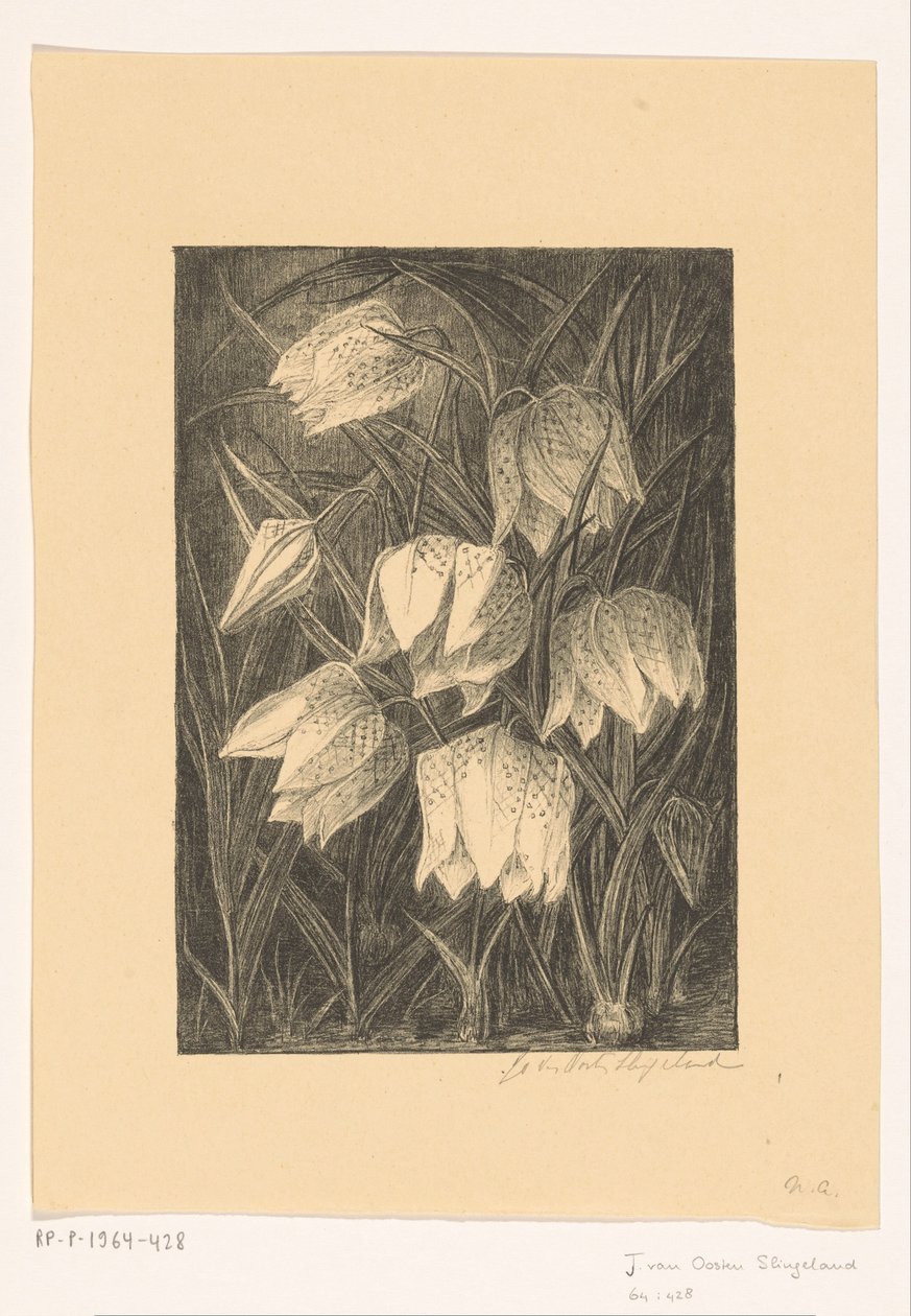 yavru çiçekler by Jo van Oosten Slingeland (signed by artist)