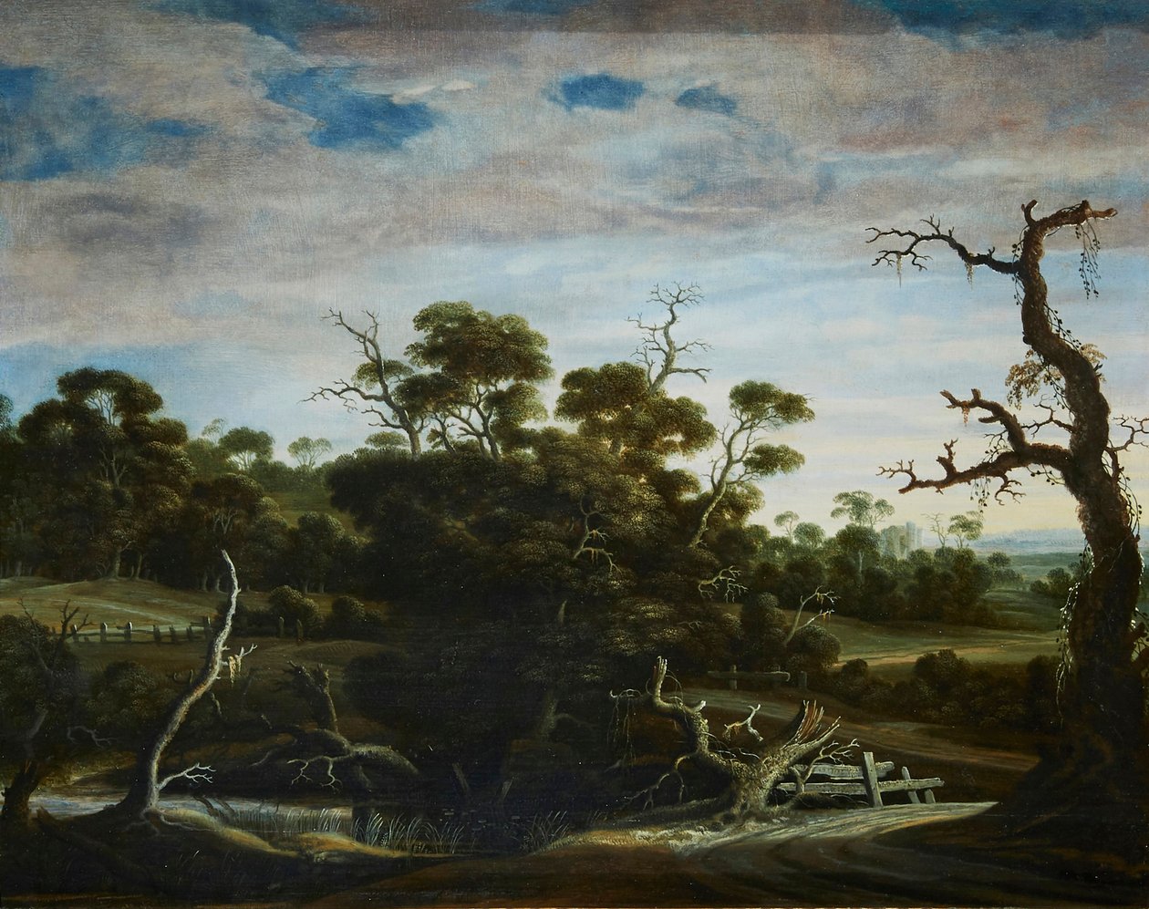  by Joachim Govertsz Camphuysen
