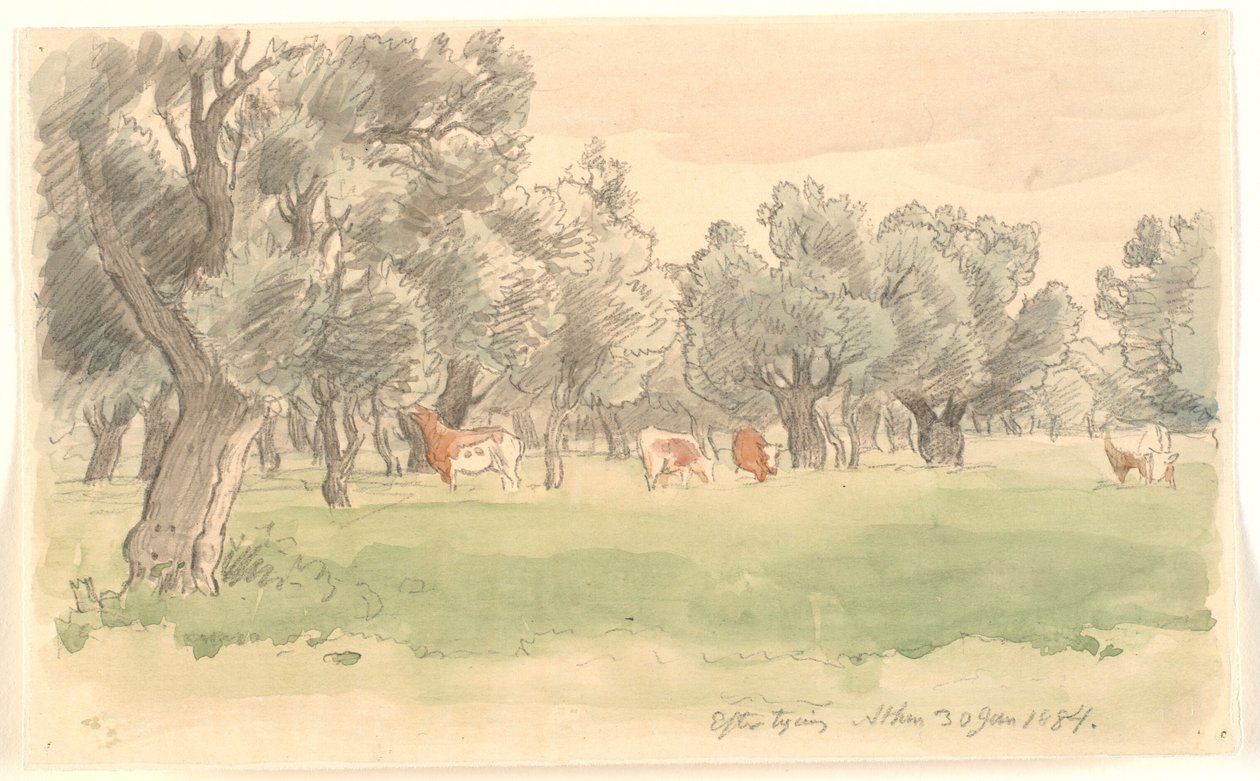 Zeytin ağaçları ve otlayan kırmızı benekli sığırlarla dolu Yunan manzarası by Joakim Frederik Skovgaard