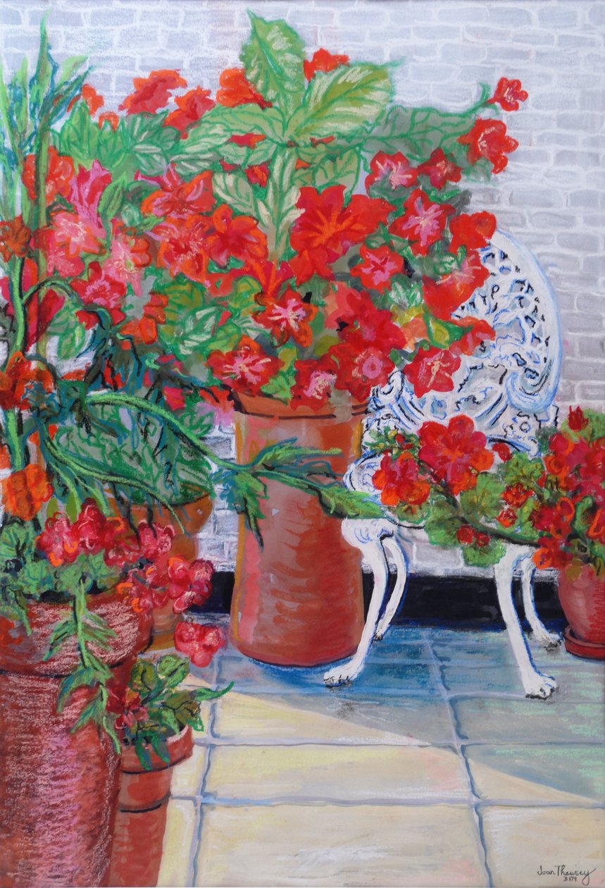 Terasta Sardunyalar ve Petunyalar, 2011, (Kağıt üzerine guaj boya) by Joan Thewsey