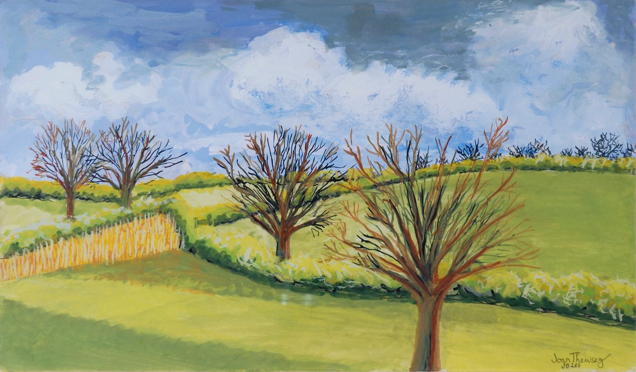 Suffolk Bahar Gökyüzü by Joan Thewsey