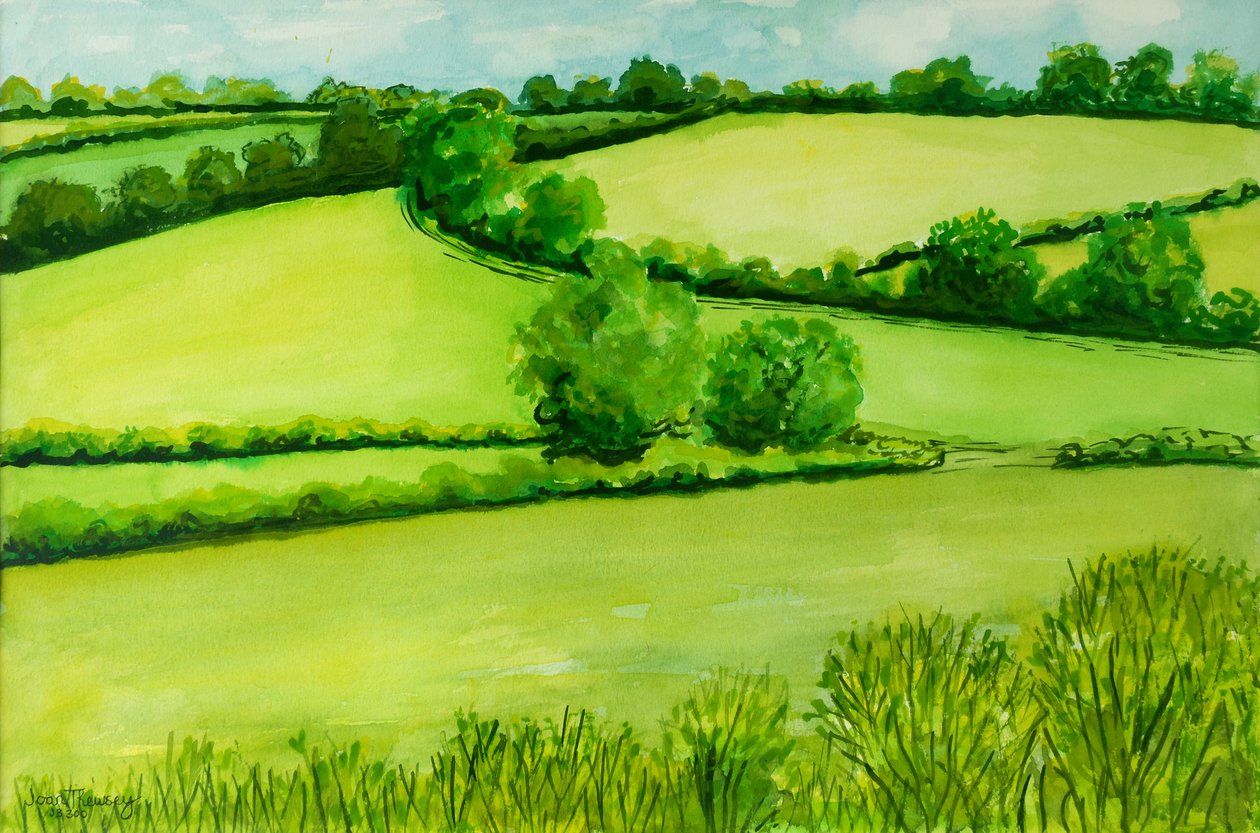 Yaz Manzarası, 2010, sulu boya by Joan Thewsey