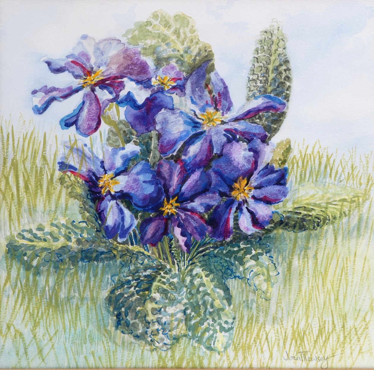 Leylak rengi Primrose 2000 by Joan Thewsey