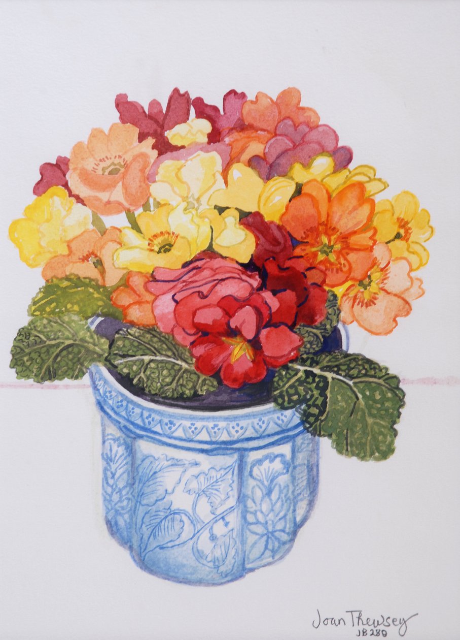 Çok Renkli Primrose 2011 (kağıt üzerine sulu boya) by Joan Thewsey