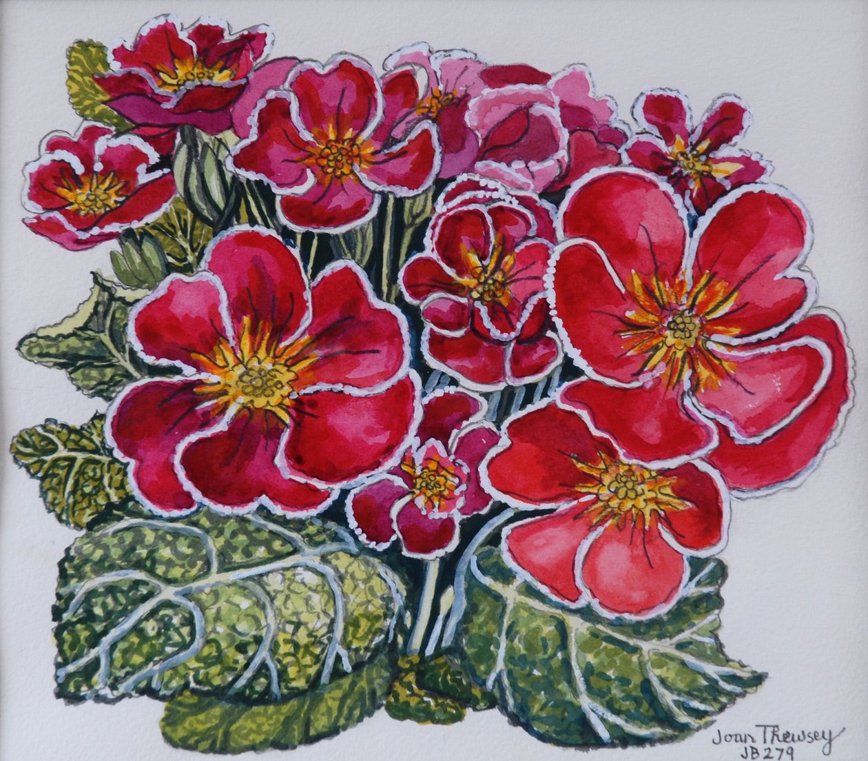 Beyaz Kenarlı Primroses 2012 by Joan Thewsey