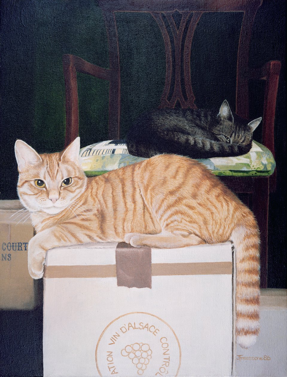 Molyneux ile Mango by Joan Freestone
