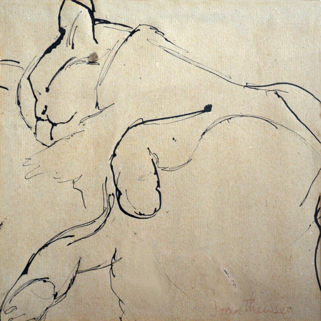 Cat, Mouser, 1980,(kalem ve mürekkep) by Joan Thewsey