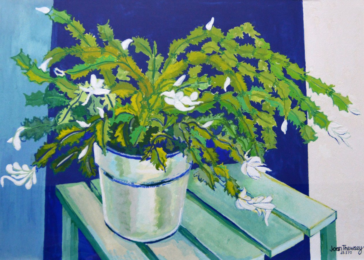 Noel Kaktüsü, 2000 (guaş) by Joan Thewsey