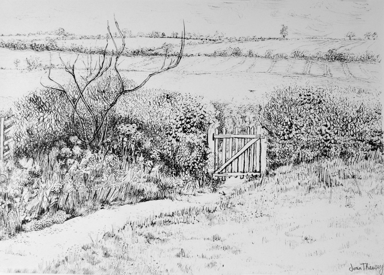 Cottage Gate ve View Beyond,2015, (kalem ve mürekkep) by Joan Thewsey