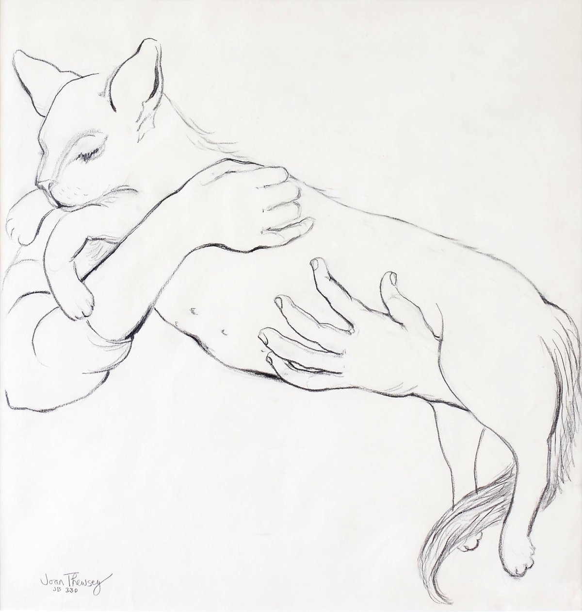 Sevimli Kedi, 2000, (kalem) by Joan Thewsey