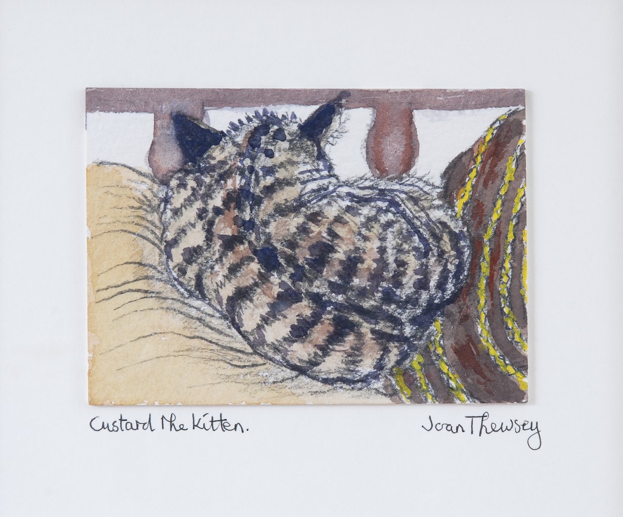 Muhallebi Kitten,2005,(kalem ve sulu boya) by Joan Thewsey