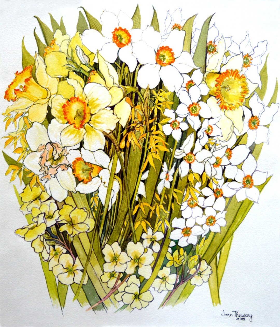 Nergis, Narcissus, Forsythia ve Primroses, 2000 by Joan Thewsey