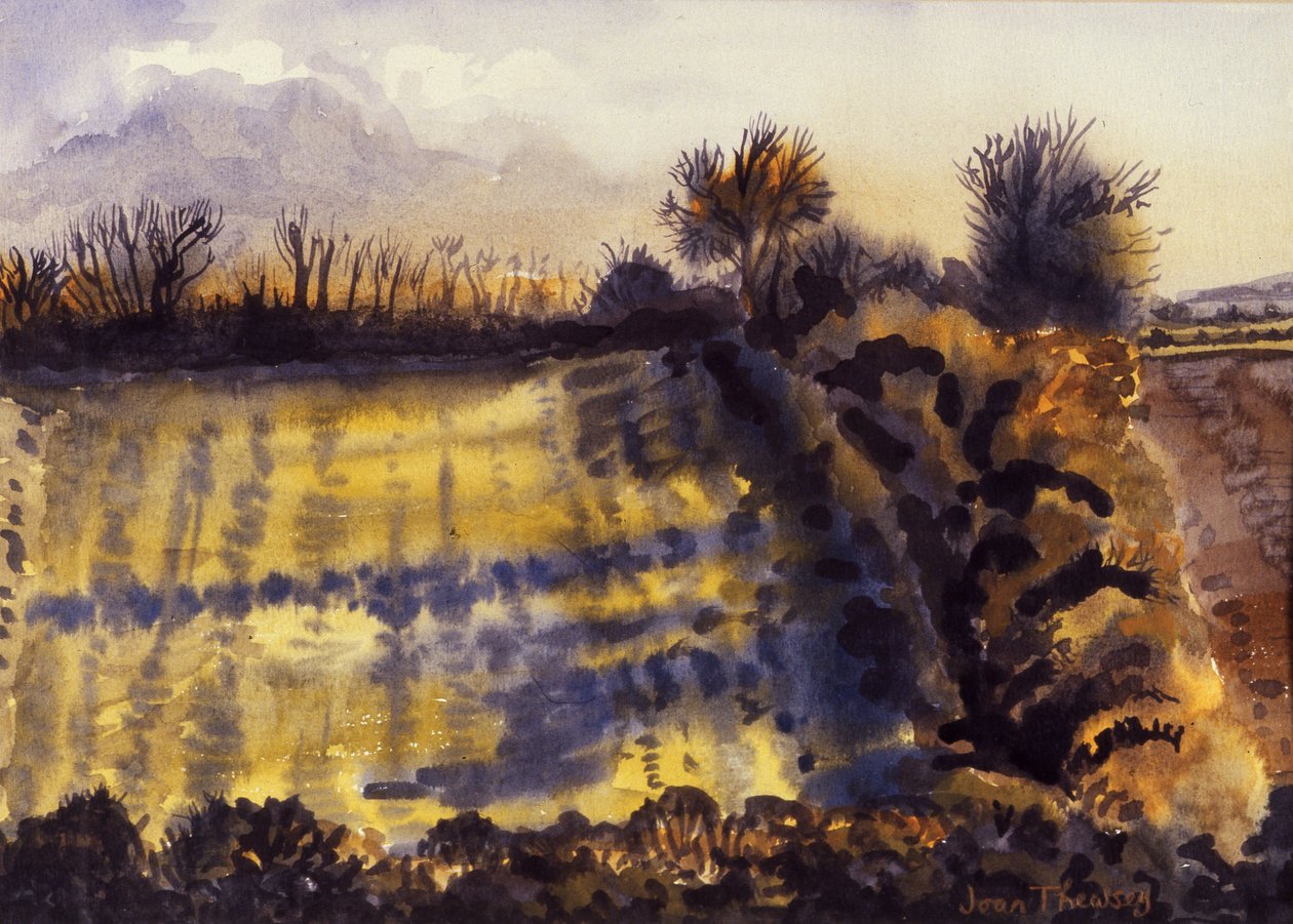 Uzun Gölgeli Alan, 1990, el yapımı kağıt üzerine sulu boya by Joan Thewsey
