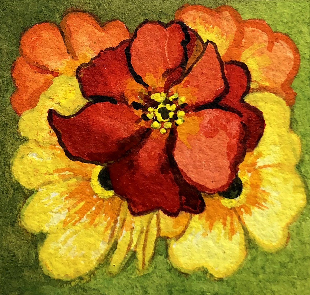 Beş Primrose, kırmızı, sarı ve turuncu (sulu boya) by Joan Thewsey