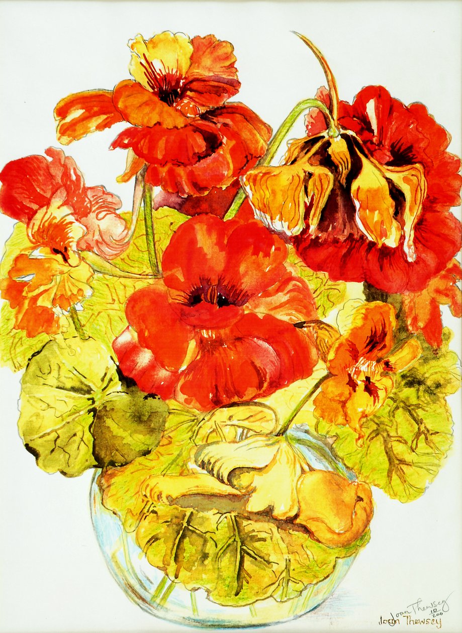 Nasturtiums,2005,(sulu boya) by Joan Thewsey