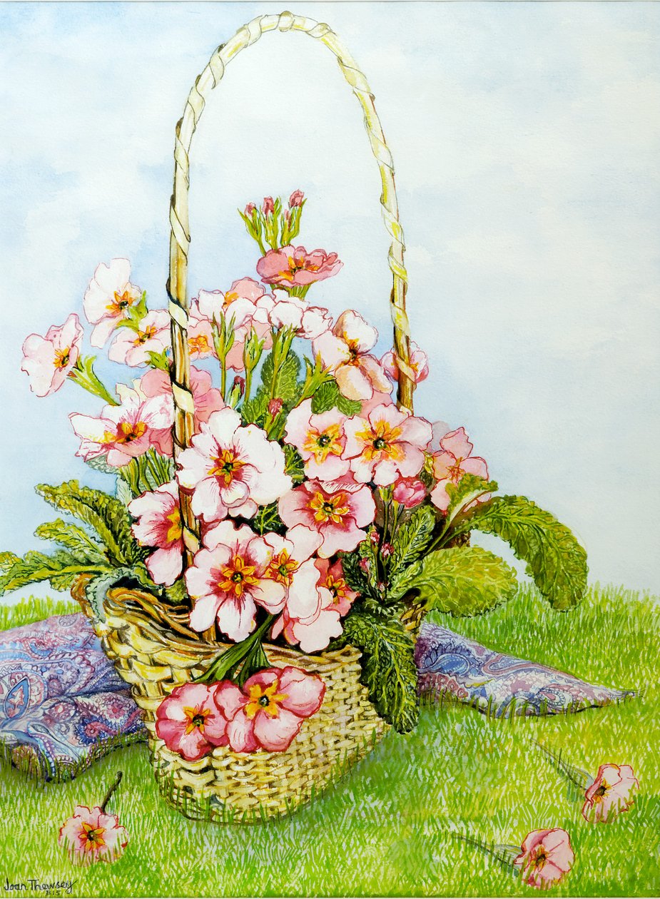 Paisley Eşarplı Çiçek Sepetinde Pembe Primrose,2010,suluboya by Joan Thewsey