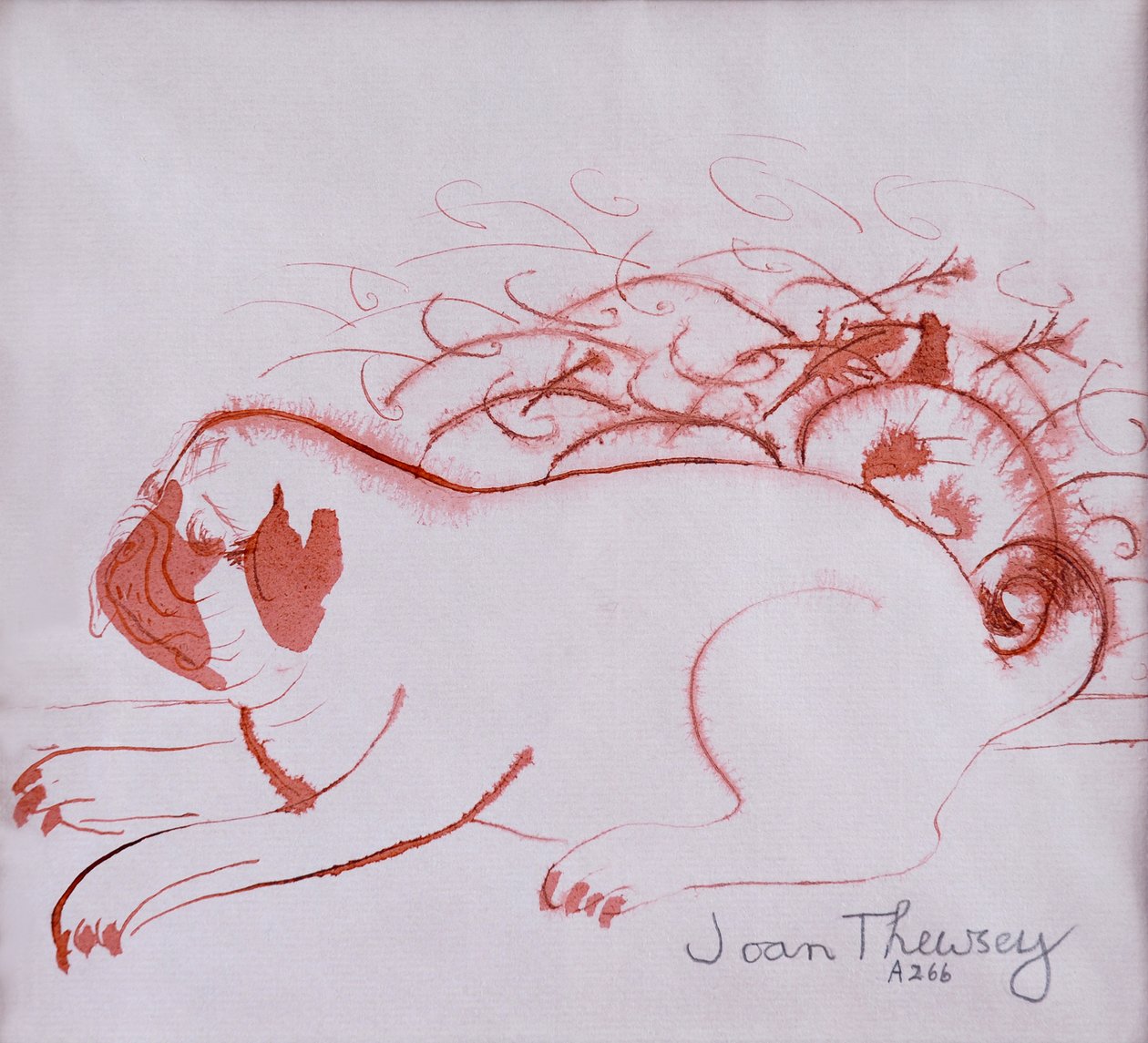 Pug Puppy 2,2005,(ıslak kağıt üzerine mürekkep) by Joan Thewsey