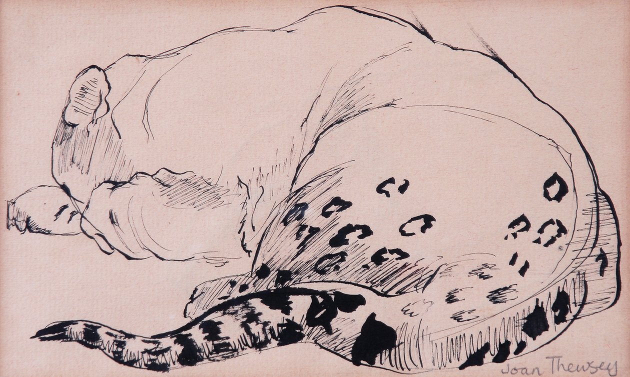 Sketch, Leopard, London Zoo 2005, (kalem ve mürekkep) by Joan Thewsey