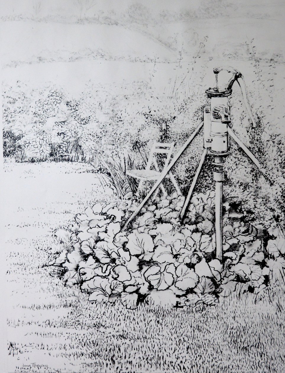 Bahçe Pompası, 1973(kömür) by Joan Thewsey