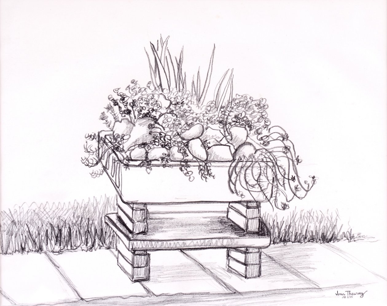Lavabo Bahçesi, 2000, grafit by Joan Thewsey