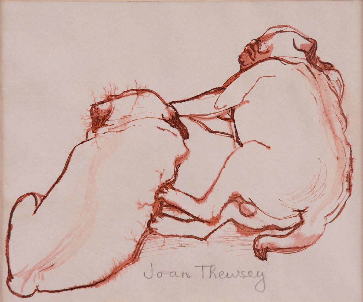 İki Pug Yavrusu, kardeşler,2005,(ıslak kağıt üzerine mürekkep) by Joan Thewsey