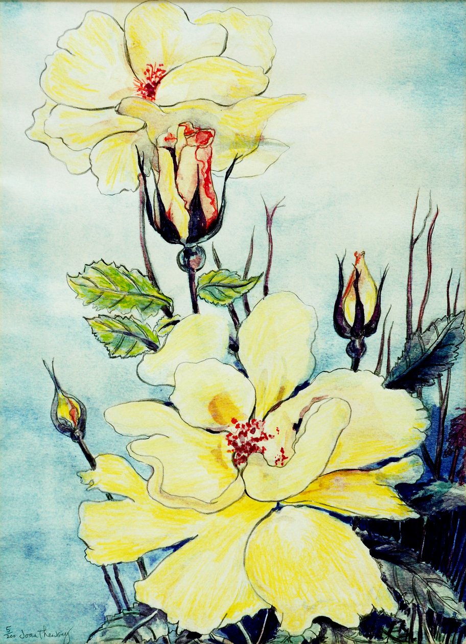 Suffolk Esintisinde Sarı Gül,2005, (sulu boya) by Joan Thewsey
