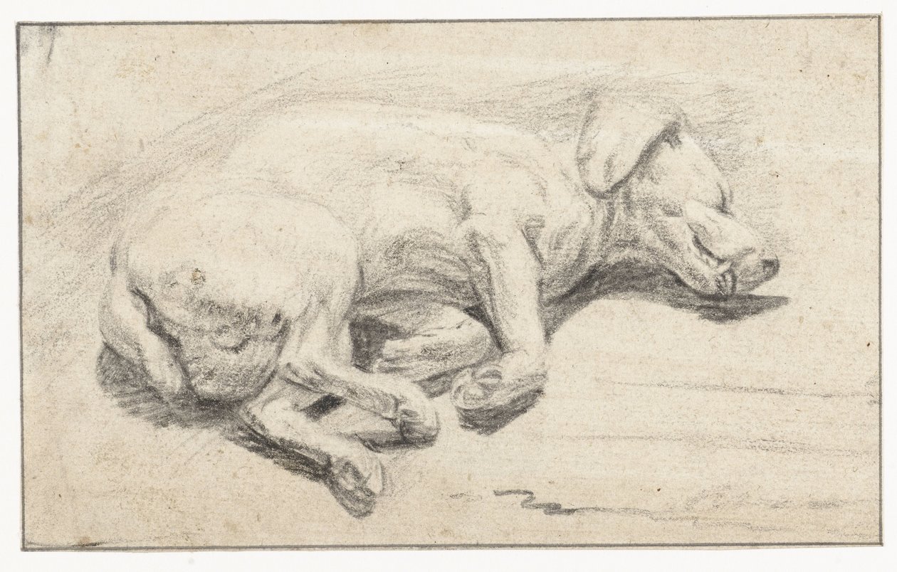Yalancı köpek, uyku by Joannes Fijt (attributed to)