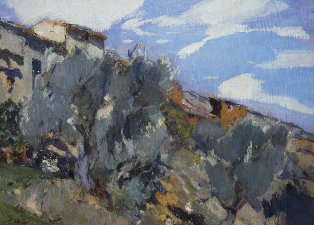 Orman ile çiftlik evi by Joaquim Mir i Trinxet