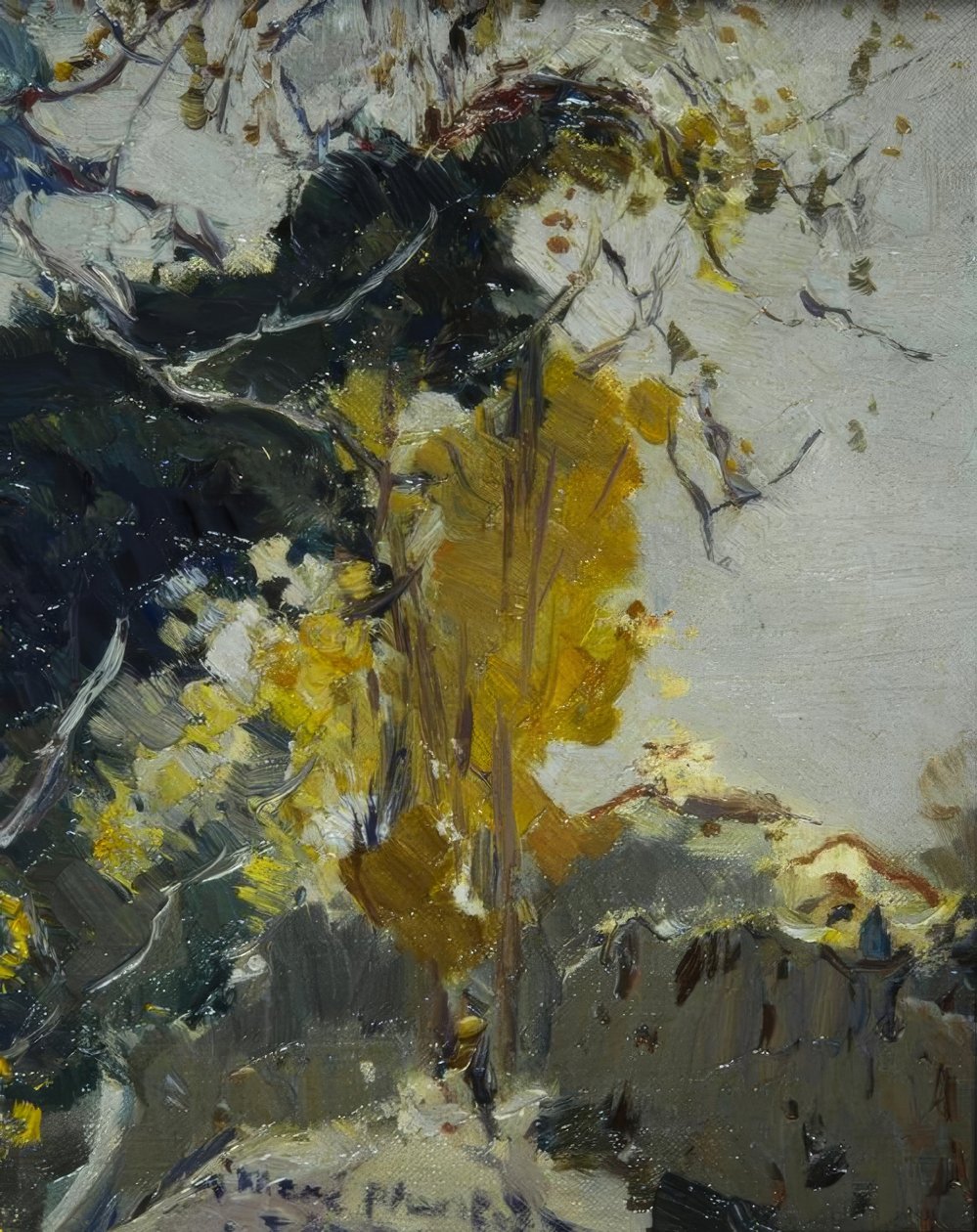 Baum by Joaquim Mir i Trinxet