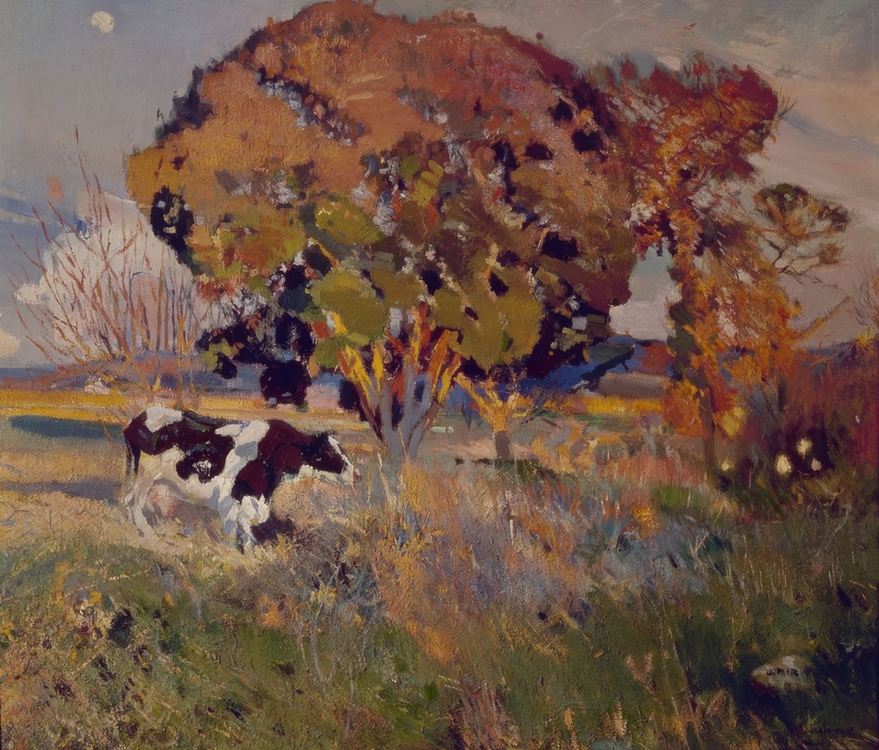 İnek ve meşe by Joaquim Mir i Trinxet