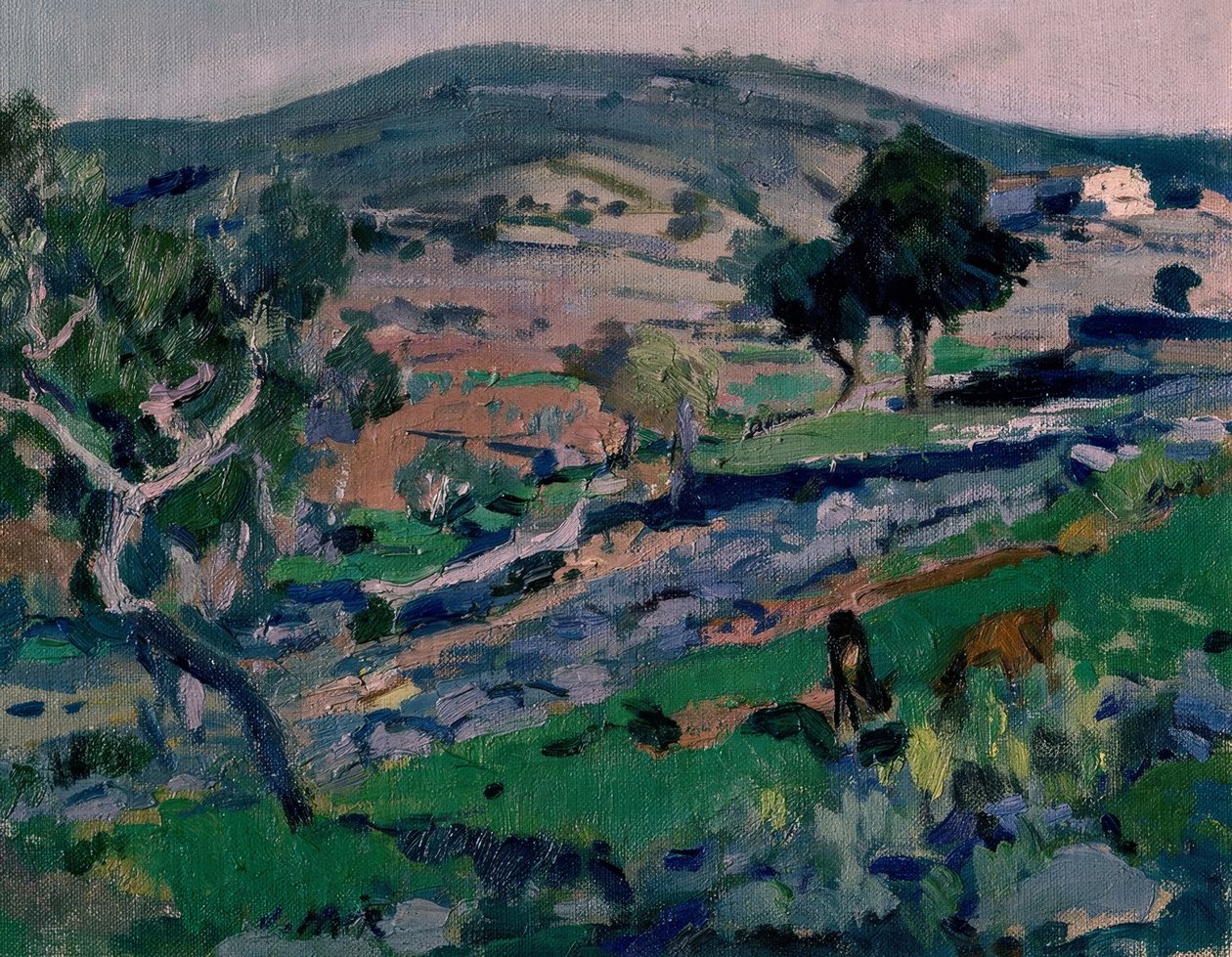 manzara by Joaquim Mir i Trinxet