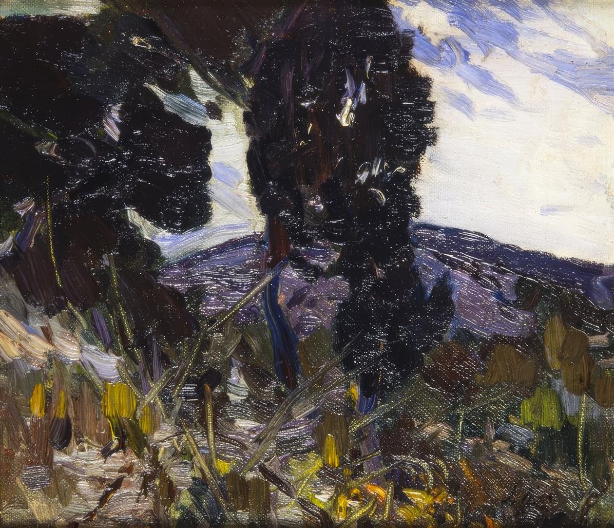 manzara by Joaquim Mir i Trinxet