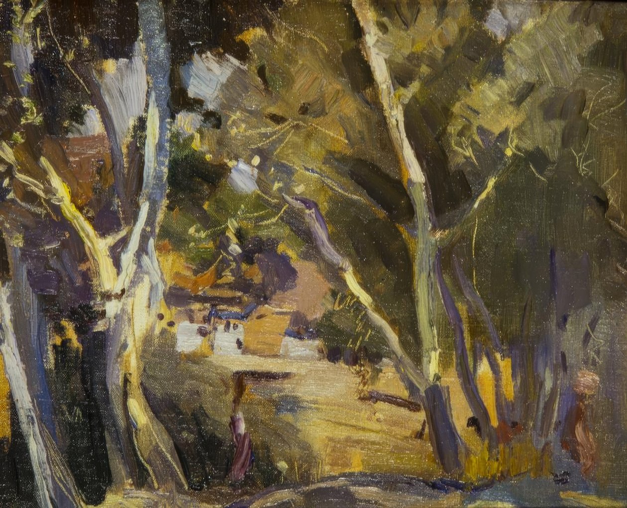 Miravet by Joaquim Mir i Trinxet