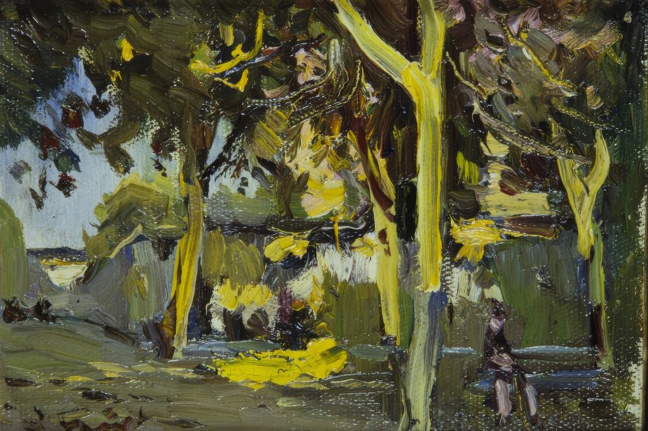 Ağaçlar ile yer by Joaquim Mir i Trinxet