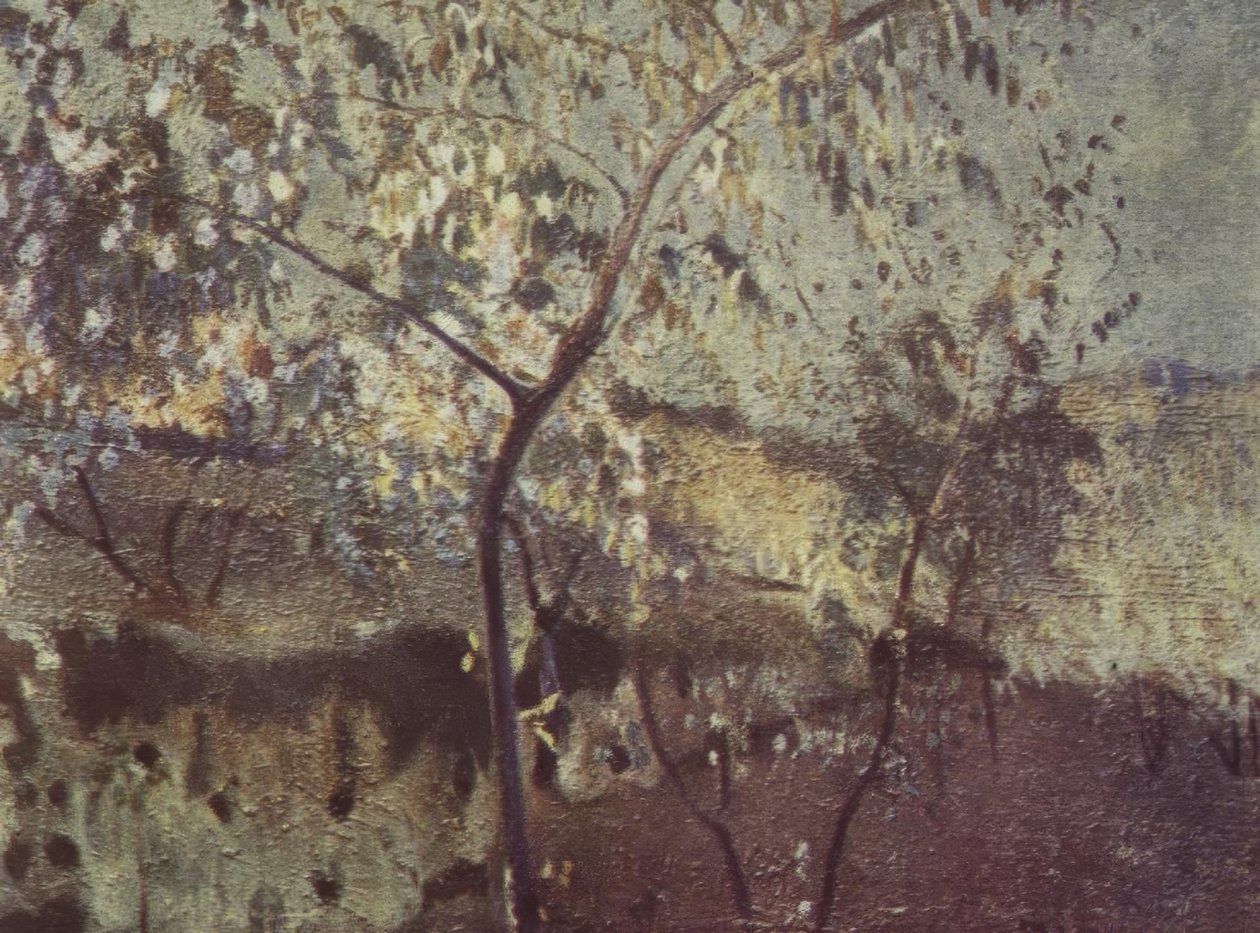 karadan by Joaquim Mir i Trinxet