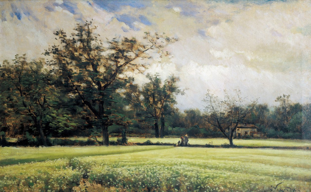 Karabuğday çiçek açar. Joaquim Vayreda i Vila