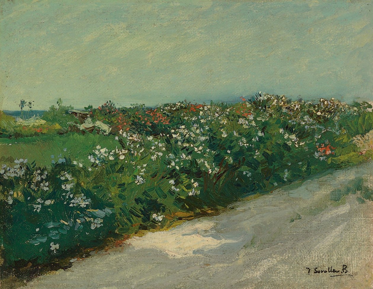 malvarrosa by Joaquín Sorolla