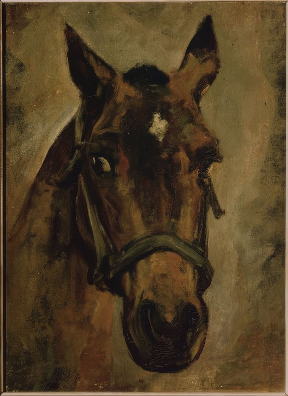 CABEZA DE CABALLO. Sanatçı: JOAQUIN SOROLLA. Yer: ÖZEL KOLEKSİYON, MADRİD, İSPANYA by Joaquín Sorolla